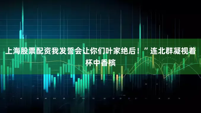 上海股票配资我发誓会让你们叶家绝后！”连北群凝视着杯中香槟