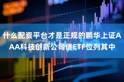 什么配资平台才是正规的鹏华上证AAA科技创新公司债ETF位列其中