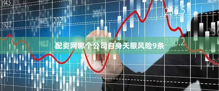 配资网哪个公司自身天眼风险9条